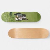 ボストン連続したスケートボード スケートボード (横)