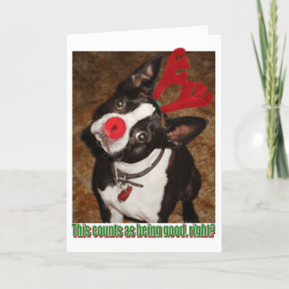 ボストン1 シーズンカード