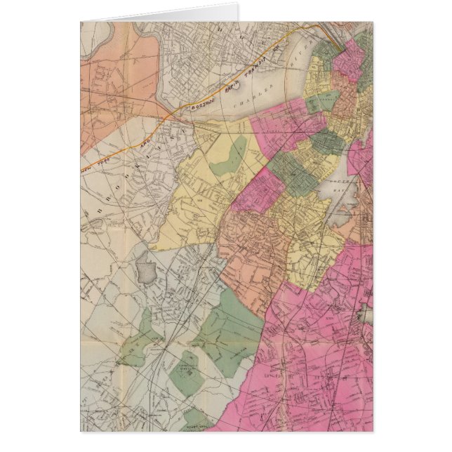 ボストン2 (正面)