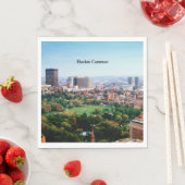 ボストン・コモン公園 スタンダードランチョンナプキン (インサイチュ)