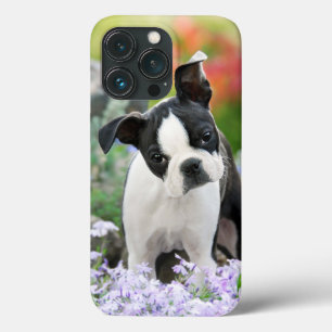 ボストン・テリアー・ドッグかわいい子犬の頭写真 – iPhone 13 PROケース