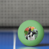 ボストン・テリア・ドッグかわいい子犬の頭写真 卓球ボール (ネット)