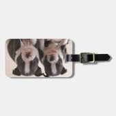 ボストン·テリア·パッピー2人 ラゲッジタグ (正面横)