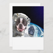 ボストン |ボストンギフト |ボストン愛好家 (正面/裏面)