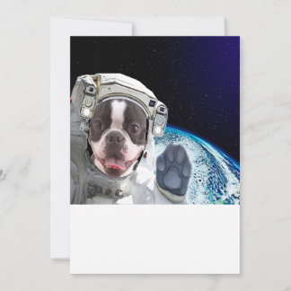 ボストン |ボストンギフト |ボストン愛好家