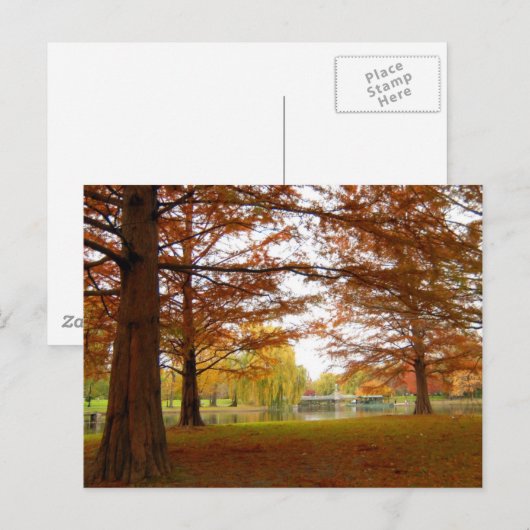 ボストン ポストカード (正面/裏面)