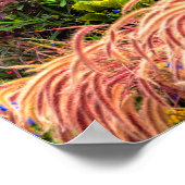 ボストン、マサチューセッツ、統一された州 ポスター (角)