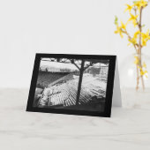 ボストン、MA 1912年のFenwayの野球公園 カード (黄色い花)