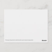 ボストンMA、コモンウェルス・アベニューヴィンテージはがきの表示 ポストカード (裏面)