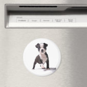 ボスト与えンの子犬の磁石を私にお願い マグネット (インサイチュ (食洗機))