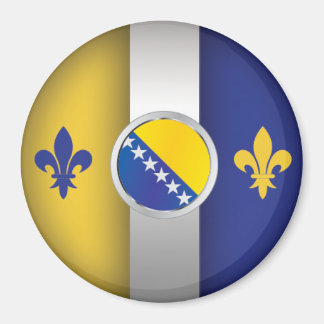 ボスナシウム磁石 マグネット