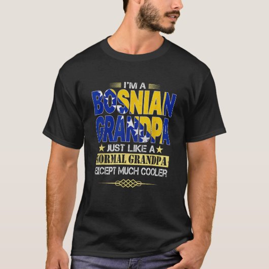 ボスニアのグランドパシャツ父の日のプレゼント Tシャツ (正面)