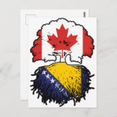 ボスニアボスニア・カナダ国旗 ポストカード (正面/裏面)