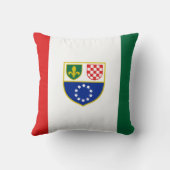 ボスニア・ヘルツェゴビナ国旗 クッション (裏面)