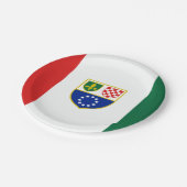 ボスニア・ヘルツェゴビナ国旗 ペーパープレート (アングル)