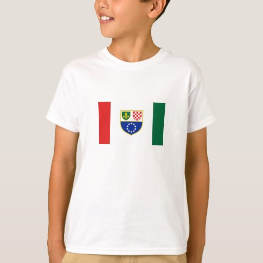 ボスニア・ヘルツェゴビナ連邦の旗 Tシャツ (正面)