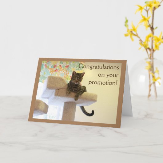 ボス猫 カード (黄色い花)