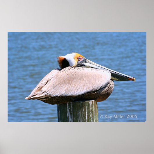 ボス ポスター (正面)