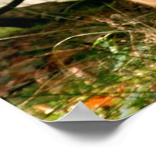 ボス ポスター (角)