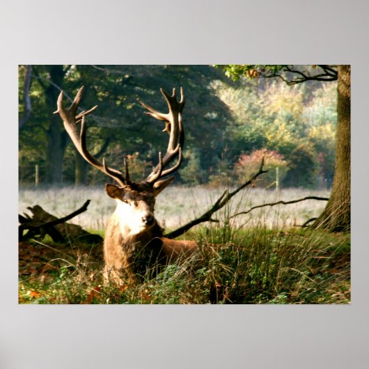 ボス ポスター (正面)