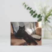 ボス ポストカード (スタンド正面)