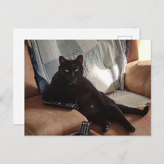 ボス ポストカード (正面/裏面)