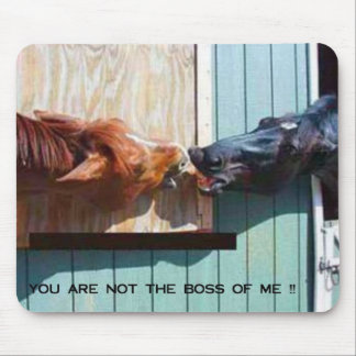 ボス マウスパッド