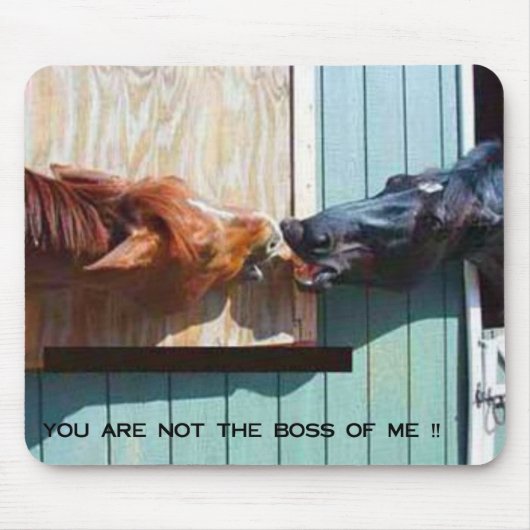 ボス マウスパッド (正面)