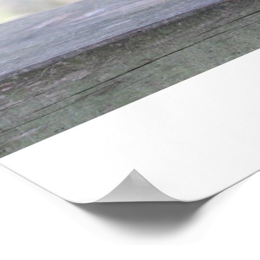 「ボス」リス ポスター (角)