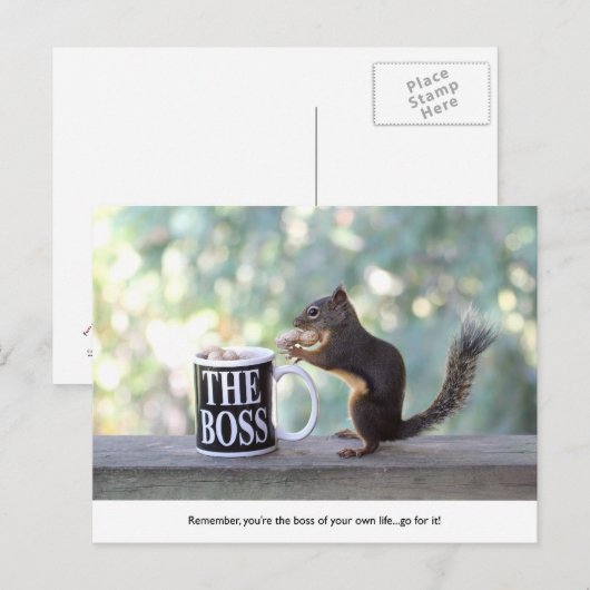 「ボス」リス ポストカード (正面/裏面)