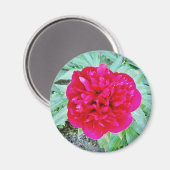 ボズール マグネット (正面/裏面)