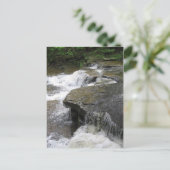 ボゼンキル ポストカード (スタンド正面)