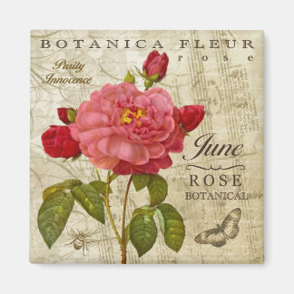 ボタニカジュンマグネット マグネット