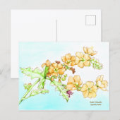 ボタニカルアートの荒野の花の水彩画、グローブマロー ポストカード (正面/裏面)