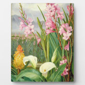 ボタニカルアート：美しいの沼 フォトプラーク (正面)