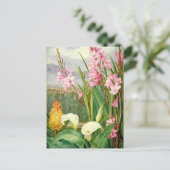 ボタニカルアート:美しいの沼 ポストカード (スタンド正面)