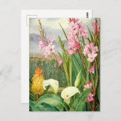 ボタニカルアート:美しいの沼 ポストカード (正面/裏面)