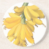 ボタニカルイエローバナナ コースター (正面)