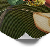 ボタニカルイラストレーションコラージビーナス ポスター (角)