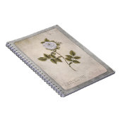 ボタニカルイラストレーションノート – ホワイトローズ ノートブック (右側)