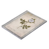 ボタニカルイラストレーションノート – ホワイトローズ ノートブック (左側)