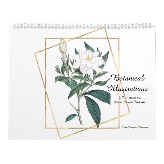 ボタニカルイラストレーションバイピエール – ジョセフレッドテ カレンダー (カバー)
