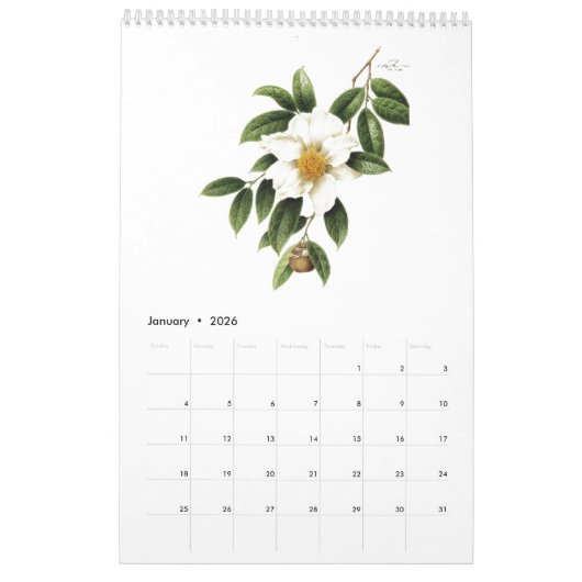 ボタニカルウォーターカラーカレンダーつるマンホ, 2023 カレンダー (1月 2026)