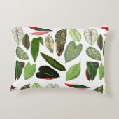 ボタニカルウォーター色ヴィンテージ緑葉色 アクセントクッション (裏面)