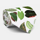 ボタニカルウォーター色ヴィンテージ緑葉色 ネクタイ (ロール)
