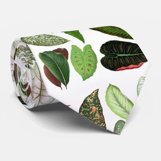ボタニカルウォーター色ヴィンテージ緑葉色 ネクタイ (ロール)