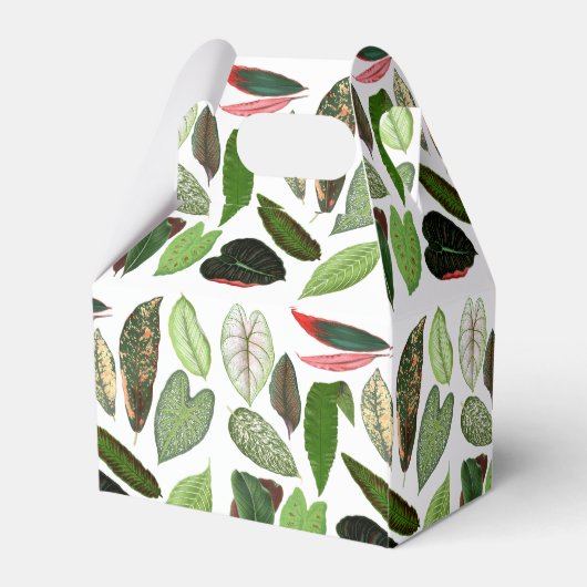 ボタニカルウォーター色ヴィンテージ緑葉色 フェイバーボックス (裏面サイド)