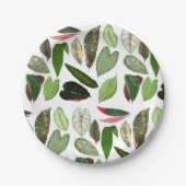 ボタニカルウォーター色ヴィンテージ緑葉色 ペーパープレート (正面)