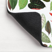 ボタニカルウォーター色ヴィンテージ緑葉色 マウスパッド (コーナー)