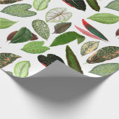 ボタニカルウォーター色ヴィンテージ緑葉色 ラッピングペーパー (角)